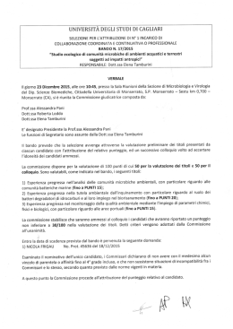 Verbale del 23 dic 2015 - Dipartimenti