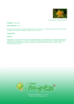 Inula Helenium (Enula campana) Famiglia: Compositae Parti