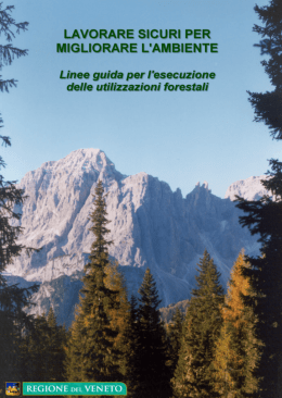 Lavorare sicuri per migliorare l`ambiente