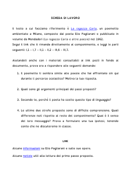 SCHEDA DI LAVORO
