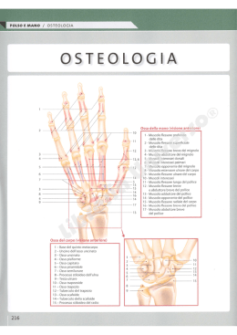 pagine di esempio - Libreria Universo