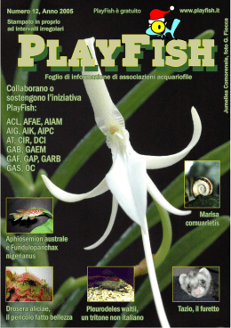 PlayFish Numero 12 Versione pdf