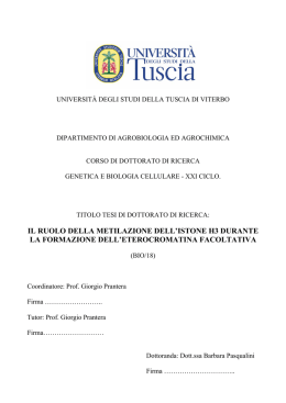 il ruolo della metilazione dell`istone h3 durante la