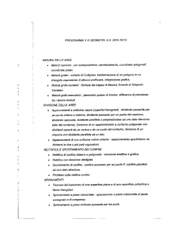 PROGRAMMA VA GEOMETRl A.S. 2012 12013