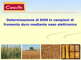Diapositiva 1 - Casillo Group