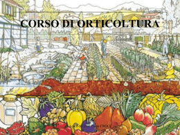 CORSO DI ORTICOLTURA