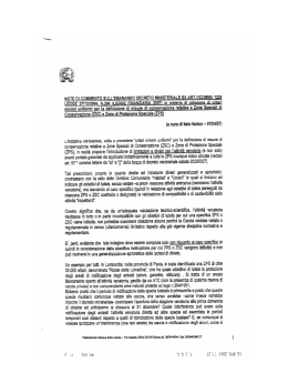 NOTE DI COMMENTO SULL`EMANANDO DECRETO