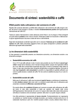 Documento di sintesi: sostenibilit&agrave; e caff&egrave;