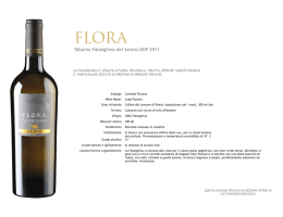 Taburno Falanghina del Sannio DOP 2011