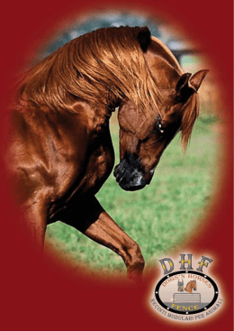 Untitled - Drd Dalla Rizza Dario