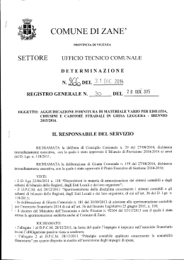 det 30 - Comune di Zanè