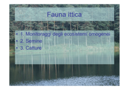 Fauna ittica