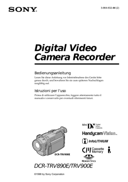 DCR-TRV900E - DESY