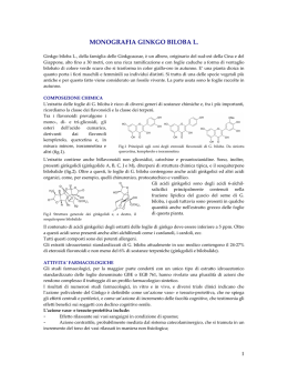 MONOGRAFIA GINKGO BILOBA L.