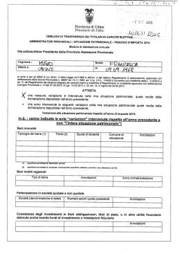 Situazione patrimoniale 2014