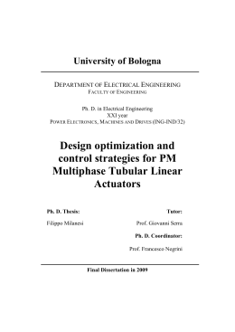 Design optimization and control strategies for PM Multiphase