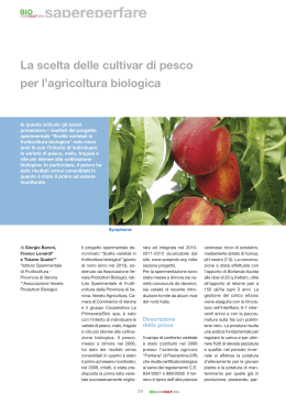 articolo pesco_bioagricoltura-dic.2013