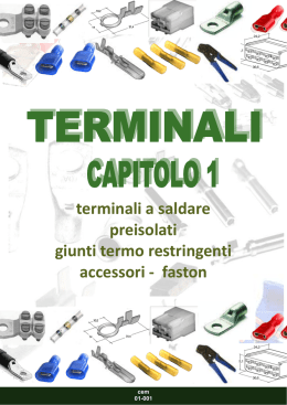 terminali a saldare preisolati giunti termo restringenti accessori