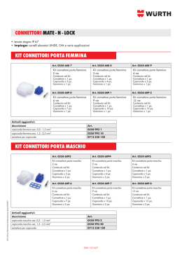 kit connettori porta maschio