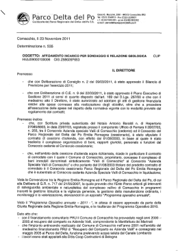 Esecuzione prova penetrometrica statica e relazione