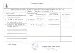 COMUNE DI GONNESA