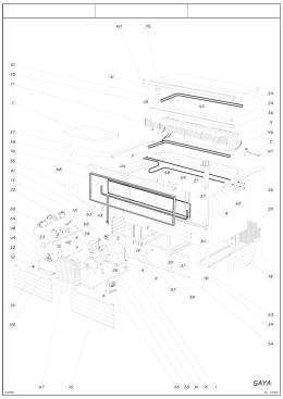 GAYA13 - Code 9413016