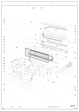 GAYA20 - Code 9008213