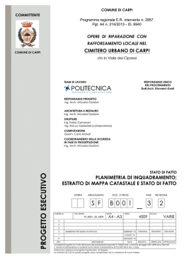 SFB001_10 CARPI