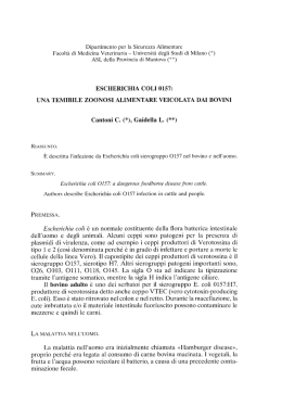 escherichia coli 0157 - Società Italiana di Buiatria