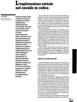 L`esplorazione rettale - Clinica Veterinaria Piola