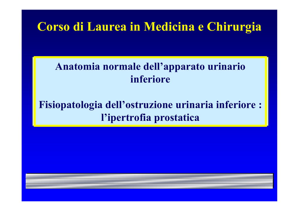 prostata parenchimatosa significato