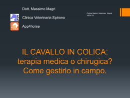 IL CAVALLO IN COLICA - Clinica Veterinaria Spirano