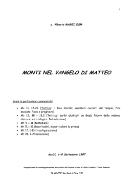 MONTI NEL VANGELO DI MATTEO