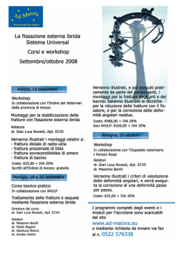 La ﬁssazione esterna ibrida Sistema Universal