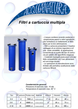 Filtri a cartuccia multipla