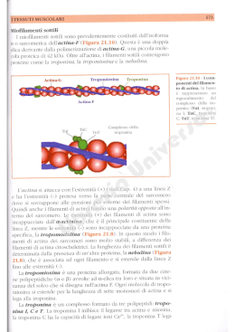 pagine di esempio - Libreria Universo