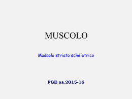 5_Muscolo (pdf, it, 3219 KB, 10/7/15)