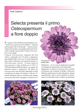 Selecta presenta il primo Osteospermum a fiore