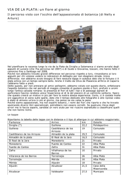 VIA DE LA PLATA: un fiore al giorno