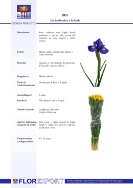 Scheda tecnica IRIS - Flor