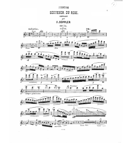 Page 1 339734 ` SGH/`ENR DURIC-I. IDYLLE par F . DÜPPLE R OP