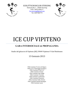 ICE CUP VIPITENO