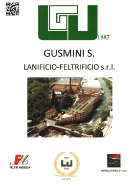 Scarica brochure - Lanificio Feltrificio Srl