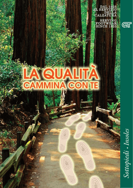 Sottopiedi - Tradigo Giovanni srl