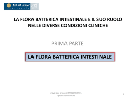la flora batterica intestinale e il suo ruolo nelle