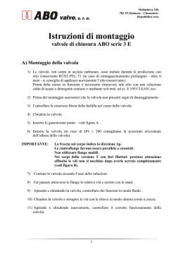 Istruzioni di montaggio