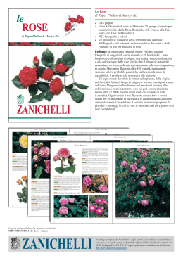 ZANICHELLI ZANICHELLI le ROSE