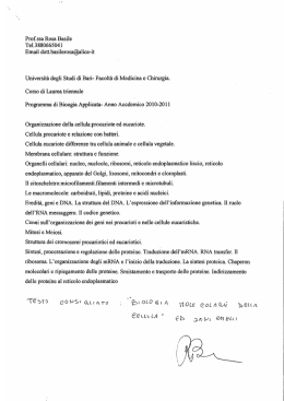 Email dott.basilerosa@alice-it Università degli Studi di Bari