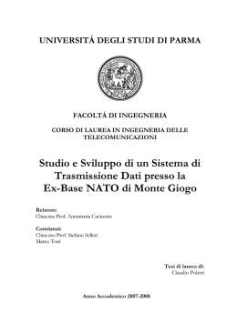 tesi di laurea sulla sinergia