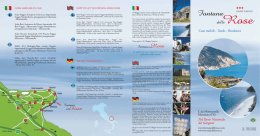 Impaginazione new copia